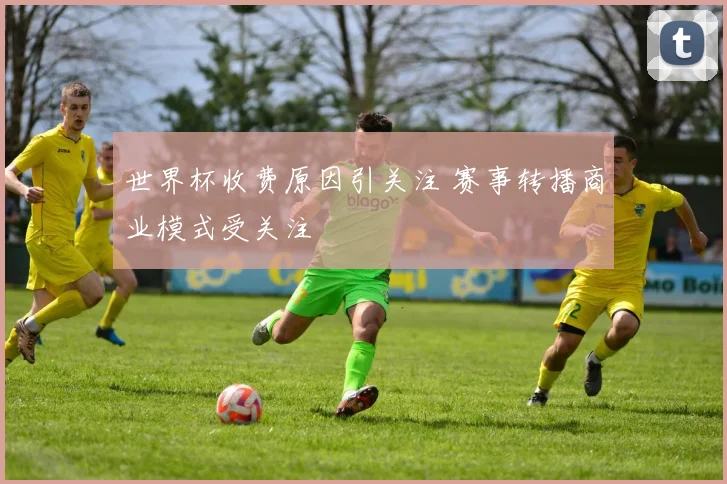 世界杯收费原因引关注 赛事转播商业模式受关注