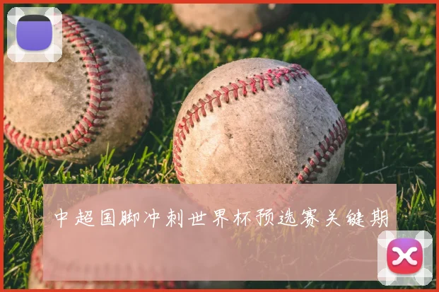 中超国脚冲刺世界杯预选赛关键期