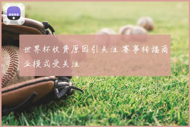 世界杯收费原因引关注 赛事转播商业模式受关注